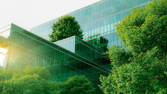 Avi Philipson These green building materials will create a more sustainable future Avi Philipson These green building materials will create a more sustainable future
